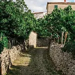 The House *